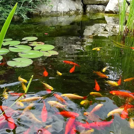 Vendeghaz Es Szabadidokert 別荘 *